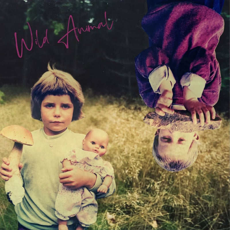 Wild Animal — self-titled album cover (2025)