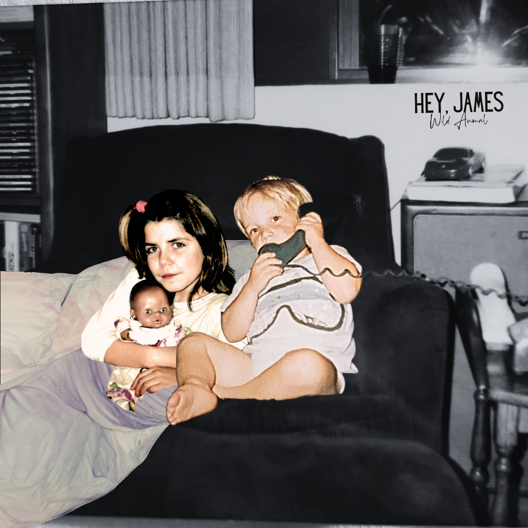 Wild Animal — Hey, James single cover